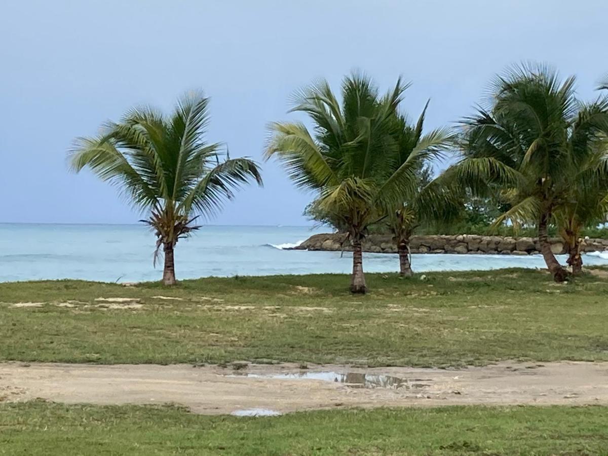 Mangrove Lägenhet Port-Louis Exteriör bild