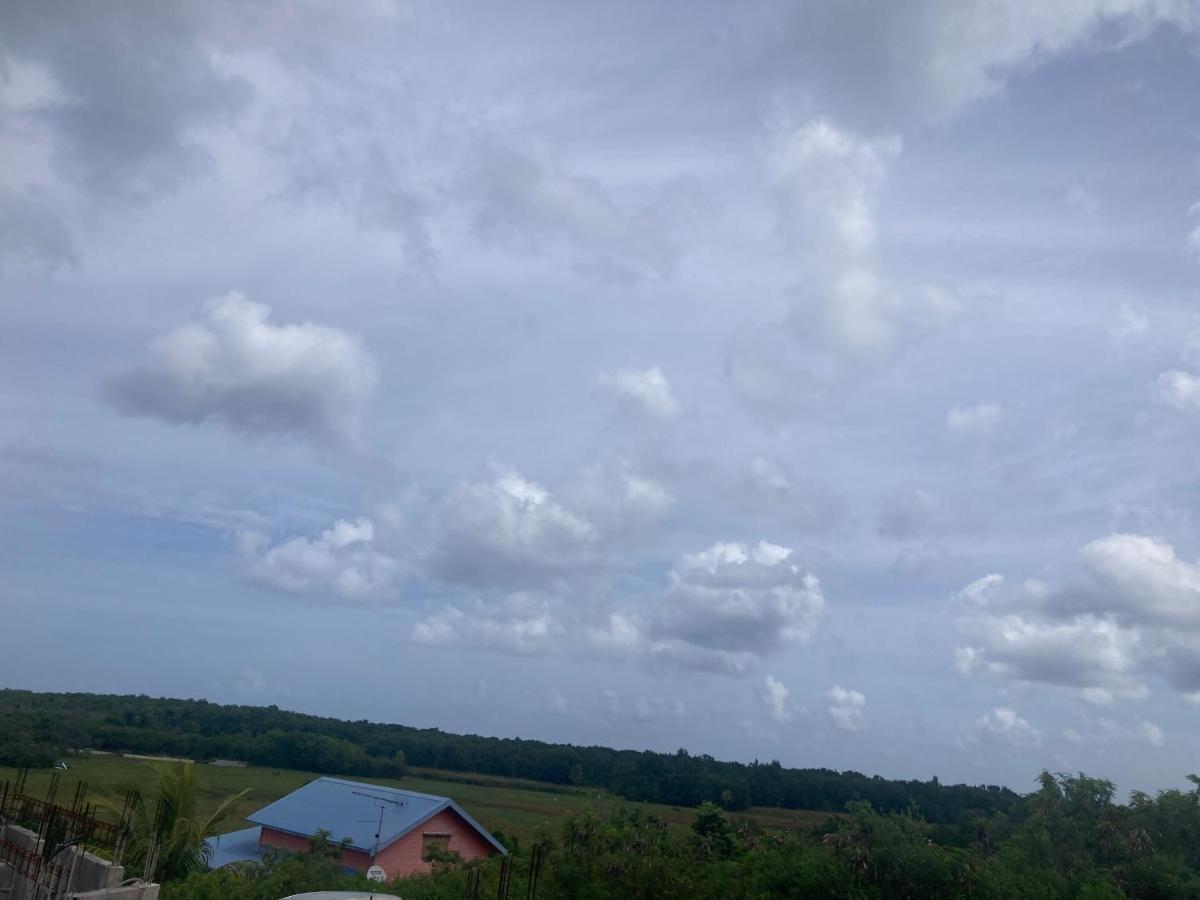 Mangrove Lägenhet Port-Louis Exteriör bild