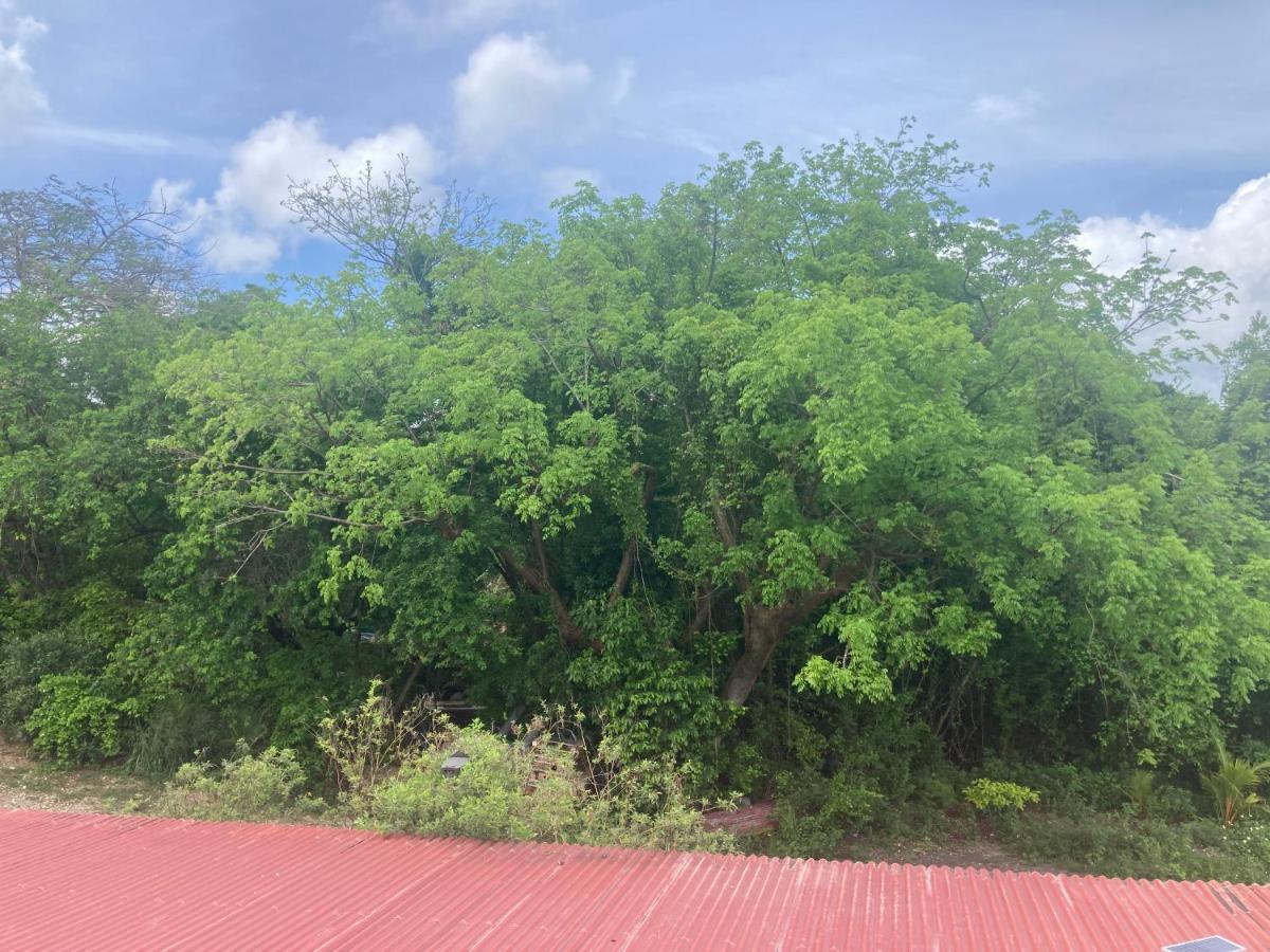 Mangrove Lägenhet Port-Louis Exteriör bild